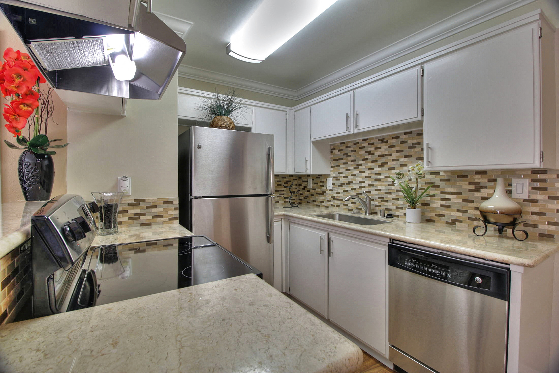 Casa Alberta Apartments photo 4